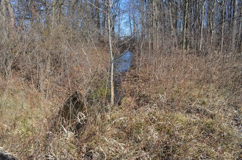 Property photo 42 - East Allen County - 55 Acre Land Auction